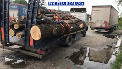 Transport ilegal de lemne depistat de polițiști