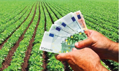 Tinerii fermieri care revin din străinătate pot primi până la 50.000 de euro, bani nerambursabili pentru afaceri în agricultură